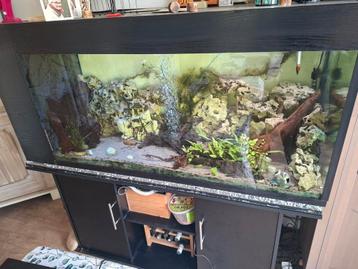 Aquarium met toebehoren te koop 500l  beschikbaar voor biedingen