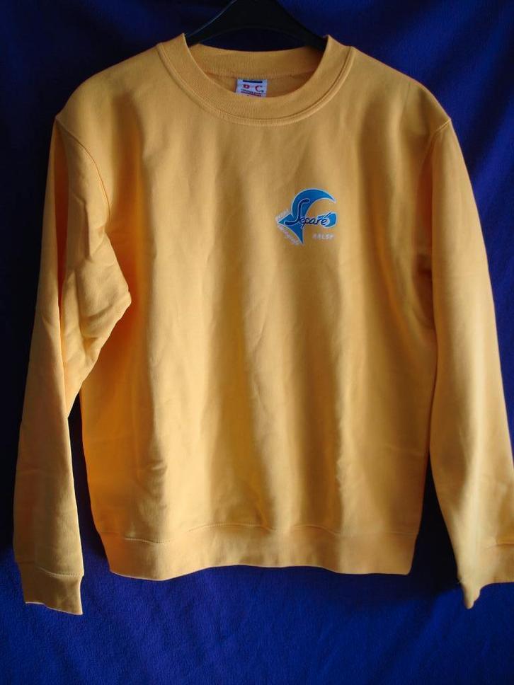 Sweater geel met lange mouwen en ronde hals maat M., Vêtements | Hommes, Pulls & Vestes, Porté, Taille 48/50 (M), Jaune, Enlèvement ou Envoi