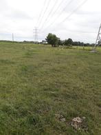 betalingsrechten, Zakelijke goederen, Landbouw | Onroerend goed, Ophalen, 5 tot 20 ha, Akkerbouwbedrijf