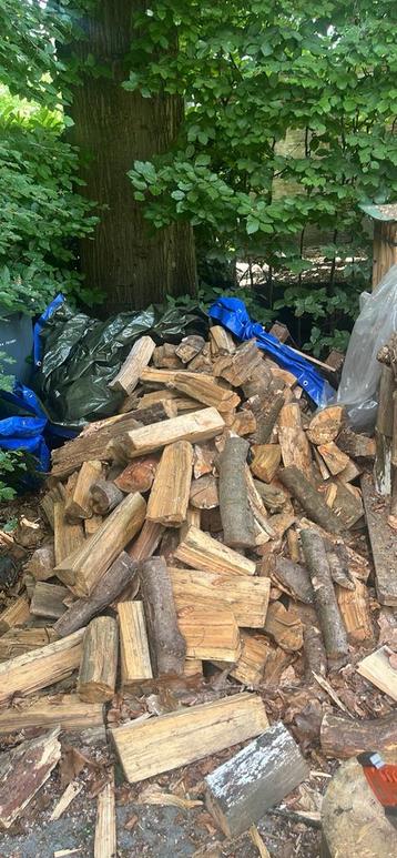 Mast, eik, am eik, beuk bijna droog, Tuin en Terras, Brandhout, 3 tot 6 m³, Ophalen, Overige houtsoorten, Blokken