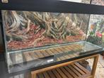 Juwel 240l, Dieren en Toebehoren, Ophalen, Gebruikt
