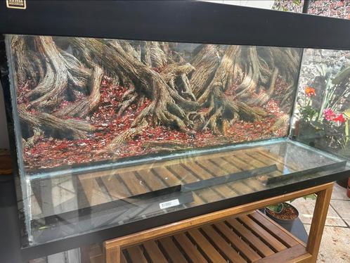 Juwel 240l, Dieren en Toebehoren, Vissen | Aquaria en Toebehoren, Gebruikt, Ophalen