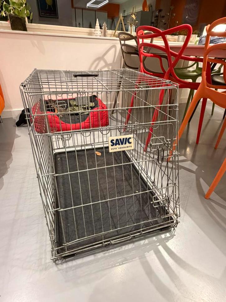 Cage pour chien, Dieren en Toebehoren, Hondenbenches, Gebruikt, Ophalen