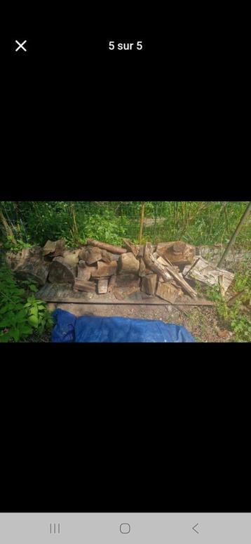 Bois de chauffage sec beschikbaar voor biedingen