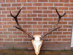 bois de cerf, Ophalen