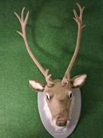 Rendier wanddecoratie, Enlèvement ou Envoi, Comme neuf