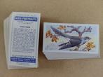 Bird Portraits complete set 50 chromos vogels 1957, Ophalen of Verzenden, 1940 tot 1960, Dier