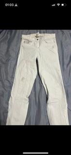 Witte rijbroek met glitter maat 36, Dieren en Toebehoren, Paardrijkleding, Ophalen of Verzenden, Zo goed als nieuw