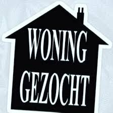 Huis gezocht!, Immo, Op zoek naar een huis