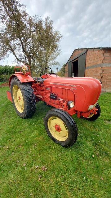 Tracteur Porsche Diesel Super 308-1959 disponible aux enchères