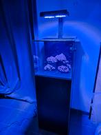 Waterbox cube 20 startklaar, Animaux & Accessoires, Poissons | Aquariums & Accessoires, Comme neuf, Enlèvement