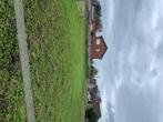 Weide te huur, Dieren en Toebehoren, Stalling en Weidegang