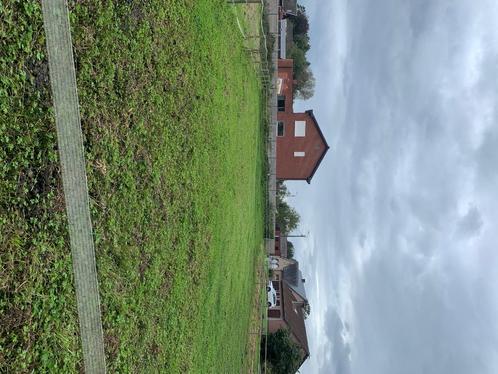Weide te huur, Dieren en Toebehoren, Stalling en Weidegang