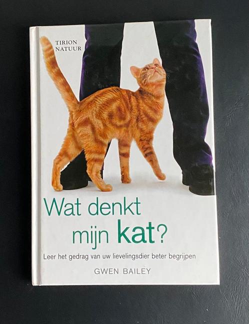 Boek “Wat denkt mijn kat” van Gwen Bailey, Boeken, Dieren en Huisdieren, Zo goed als nieuw, Katten, Ophalen of Verzenden