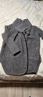 Grijze vest, Kleding | Dames, Truien en Vesten, Ophalen, Zo goed als nieuw