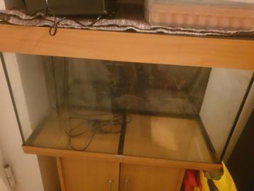 Magnifique aquarium Juwel Rio 125 à vendre ! 