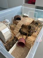 Hamsterkooi, Dieren en Toebehoren, Ophalen