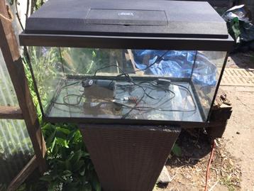 aquariums beschikbaar voor biedingen