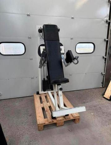 Technogym side raise machine beschikbaar voor biedingen