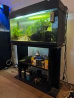 Aquarium 100L inclusief vissen en planten, Ophalen, Gebruikt, Gevuld zoetwateraquarium