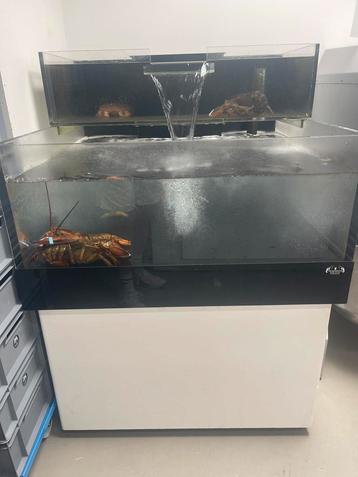 Homarium beschikbaar voor biedingen