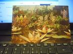 kaart 'de indische waterlelies' van K.Fabiola, Ophalen of Verzenden, Zo goed als nieuw, Kaart, Foto of Prent