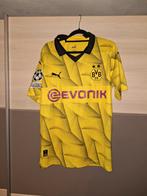 Borussia dortmund shirt, Sport en Fitness, Voetbal, Maat M, Ophalen of Verzenden, Zo goed als nieuw, Shirt