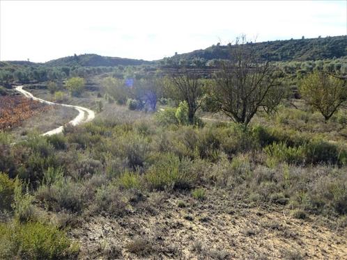 Finca in Maella (Aragon) - 0839, Immo, Buitenland, Spanje, Overige soorten, Dorp