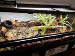 Terrarium tropical exoterra 90x45x30cm, Ophalen, Zo goed als nieuw, Terrarium of Paludarium