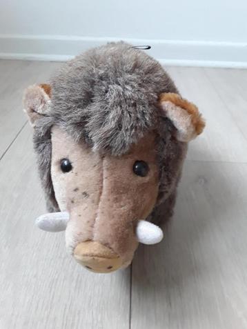 Knuffel voor everzwijnen beschikbaar voor biedingen