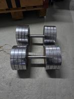 HALTERS 50 KG, Ophalen of Verzenden, Gebruikt