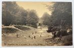 Oude postkaart <1920 Brussel Bois de la Cambre Ravin Pont, Ophalen of Verzenden, Voor 1920, Ongelopen, Brussel (Gewest)
