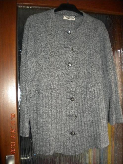 Warm grijspak : vest + rok, Kleding | Dames, Truien en Vesten, Ophalen