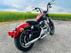 Harley davidson sportster 883, Motos, Motos | Harley-Davidson, Particulier