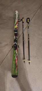 Ski, Dieren en Toebehoren, Hondenhalsbanden en Penningen, Ophalen