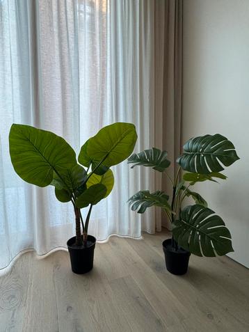 Kunstplanten Monstera - 2 stuks 90 a 95 cm hoog beschikbaar voor biedingen
