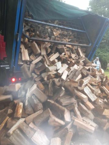Mélange de bois chauffage hêtre chêne pour stock hiver 2025, 6 m³ ou plus, Envoi, Hêtre, Bûches