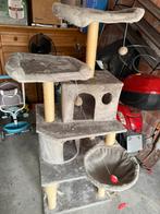 Kattenboom, Ophalen, Zo goed als nieuw