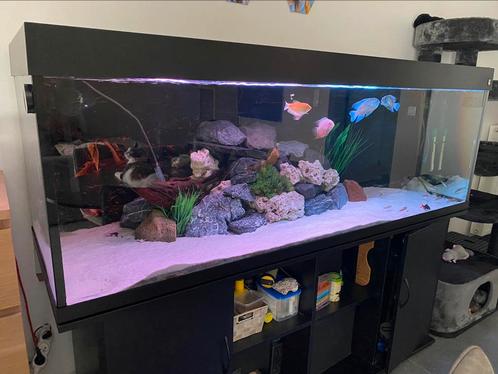 Aquarium 750 liter, Dieren en Toebehoren, Vissen | Aquaria en Toebehoren, Zo goed als nieuw, Ophalen