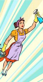 Ik zoek  werk  poetsvrouw