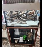 Aquarium 1 meter 5 cm  hoogte 70 diepte 50, Dieren en Toebehoren, Ophalen