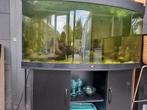 Aquarium juwel vision 260 liter, Dieren en Toebehoren, Ophalen