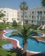 Appartement Torrevieja 650 mètres plage, clim, piscine, Vacances, Propriétaire, Ville, Lit enfant, 1 chambre