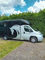 Mooie 2 paards  paardenwagen/ paardencamionette, Animaux & Accessoires, Chevaux & Poneys | Semi-remorques & Remorques, Enlèvement ou Envoi