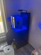 Red sea Max nano g2 XL inclusief zwartmeubel, Dieren en Toebehoren, Ophalen, Zo goed als nieuw, Leeg aquarium