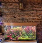 LEEG Aquarium JUWEL VISION 180 volledig ingericht, Dieren en Toebehoren, Ophalen, Leeg aquarium