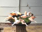 Harlekijn kanarie, Dieren en Toebehoren, Vogels | Kanaries, Geslacht onbekend, Kleurkanarie