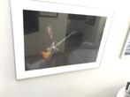 Bonamassa Joe échte foto, Ophalen, Zo goed als nieuw
