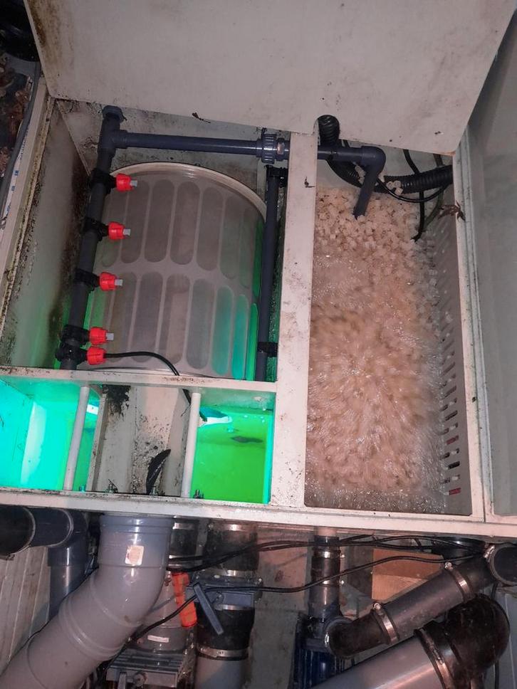 Combi trommelfilter, Tuin en Terras, Vijver-toebehoren, Zo goed als nieuw, Ophalen