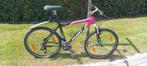 GIANT Mountainbike, Fietsen en Brommers, Ophalen, Gebruikt, Heren, 45 tot 49 cm